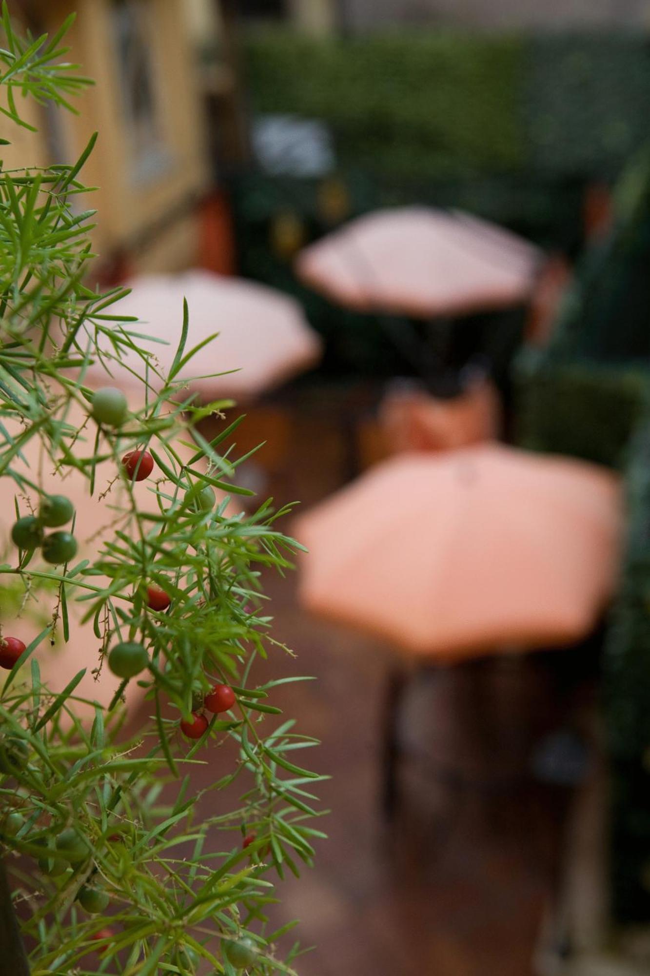 Bed & Breakfast Sweet Dream Trevi Roma